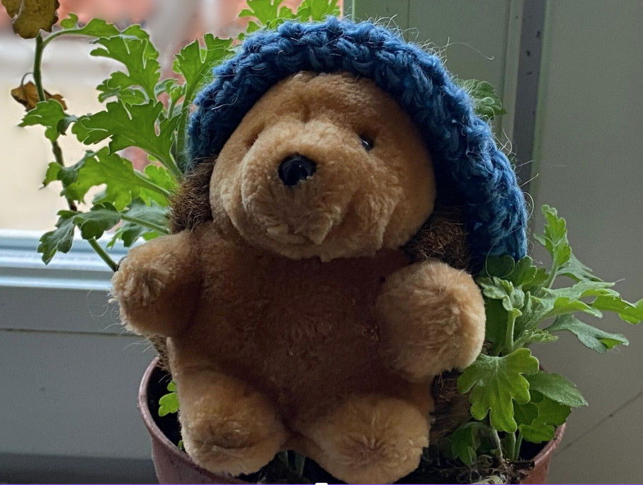 Onecrunchapple cappello blu quadrato
