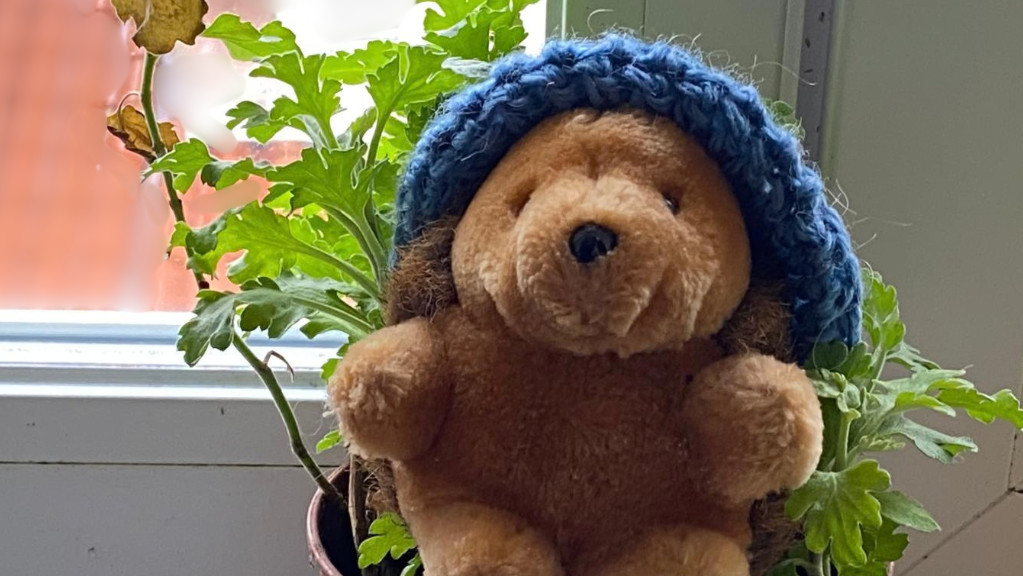 Onecrunchapple cappello blu